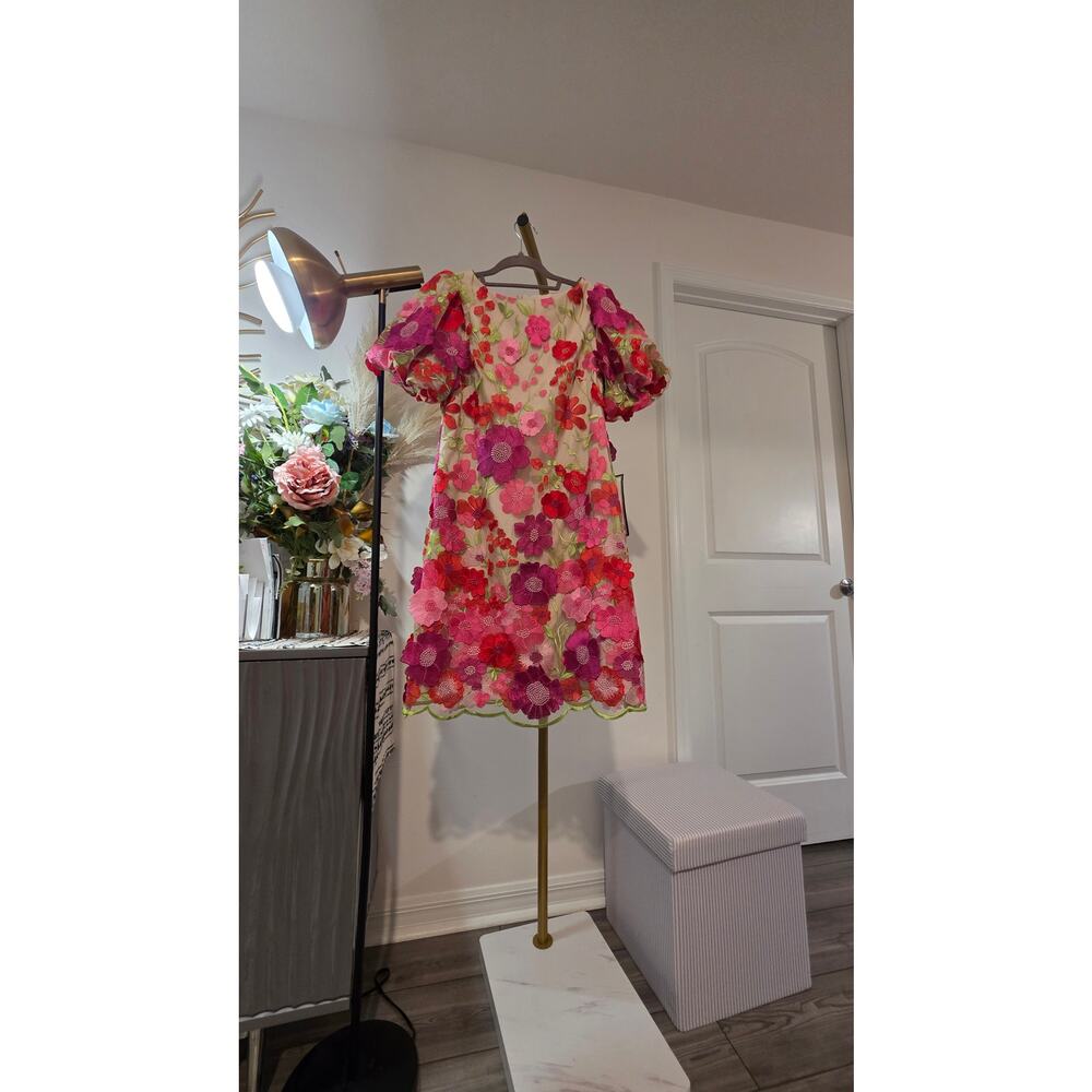 Eliza J Pink Multi 3D Floral Appliqué Embroidered Dress Size 4 NWT Zip Closure - Picture 8 of 12